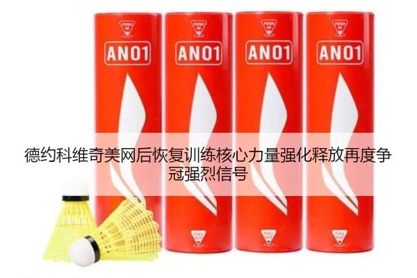 德约科维奇美网后恢复训练核心力量强化释放再度争冠强烈信号（Kaiyun）
